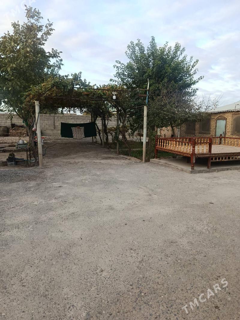 Kaka Satlyk jay - Кака - img 9