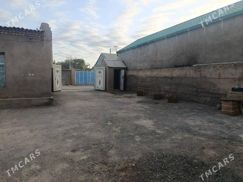 Kaka Satlyk jay - Кака - img 8