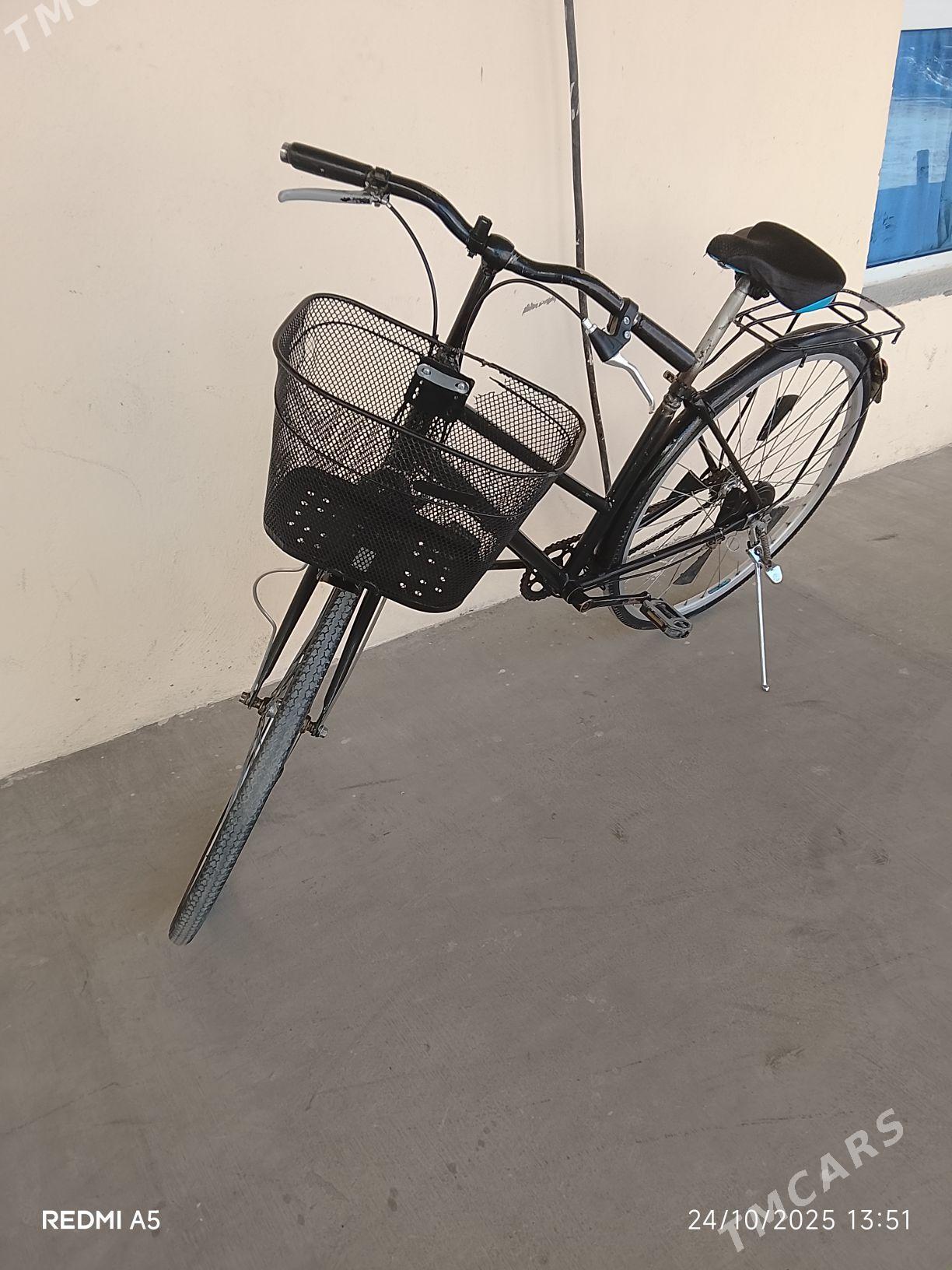 yapoşka tigir - Bagyr - img 2
