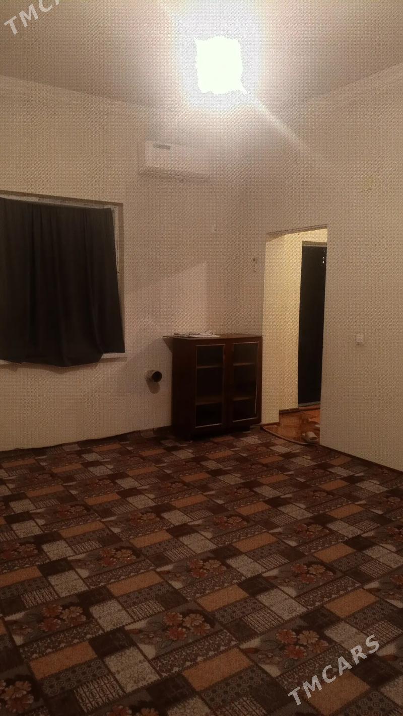 kvtira jay - Änew - img 3