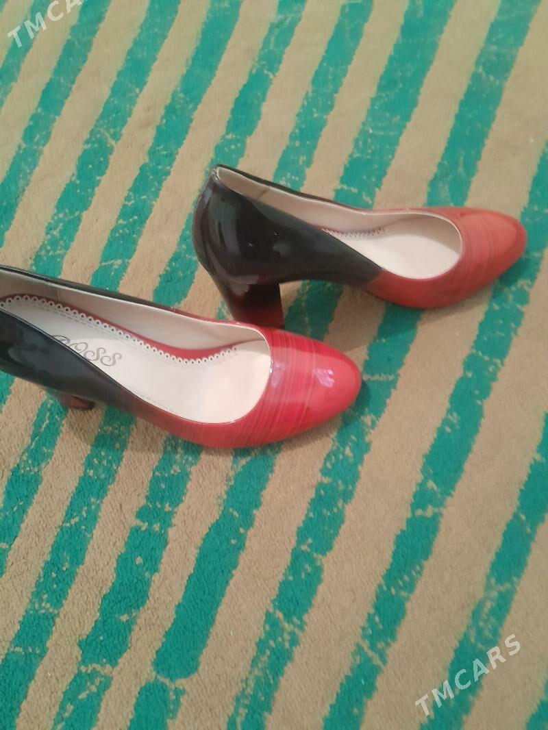 kowis - Köşi - img 2