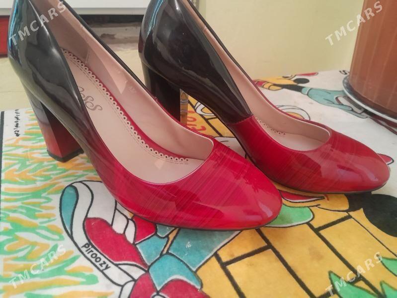 kowis - Köşi - img 4