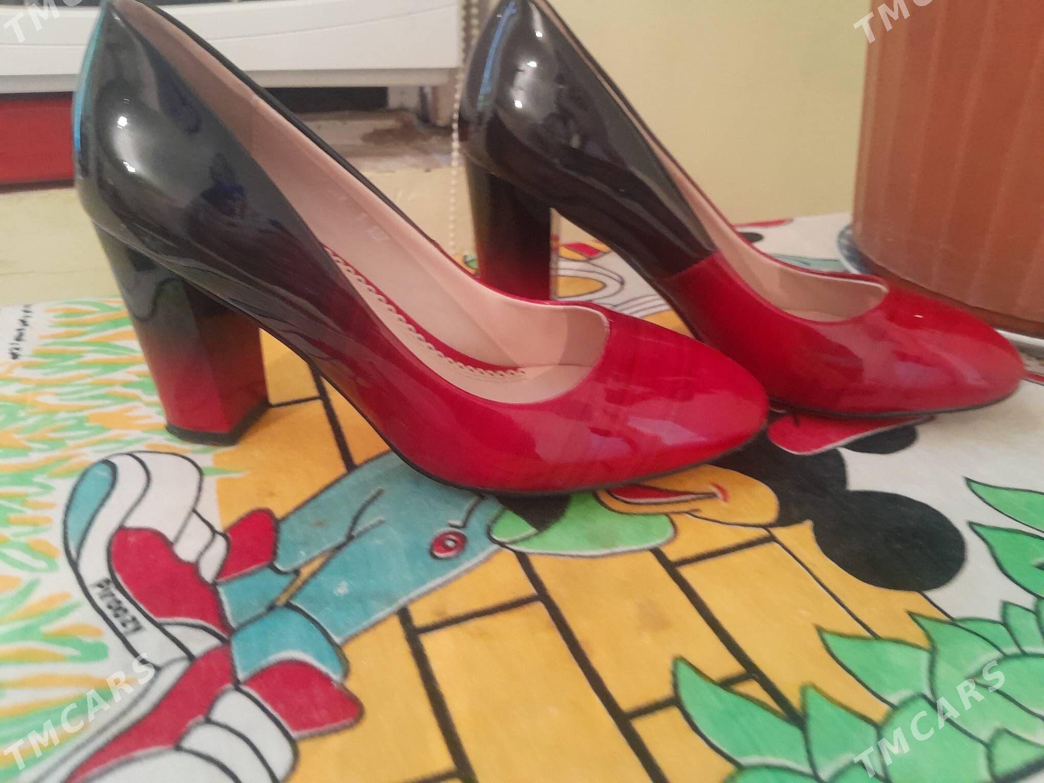 kowis - Köşi - img 3