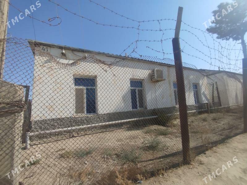 satlyk jaŷ - Этрек - img 3