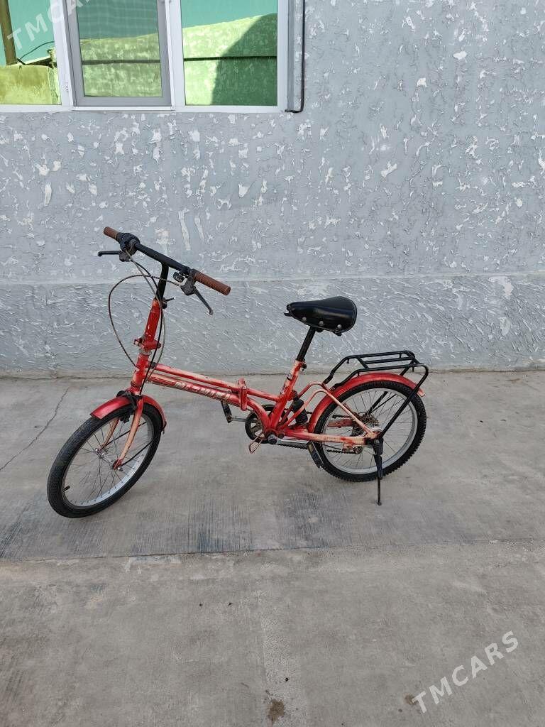 Японский велик/Yapon Tigir - Büzmeýin - img 5