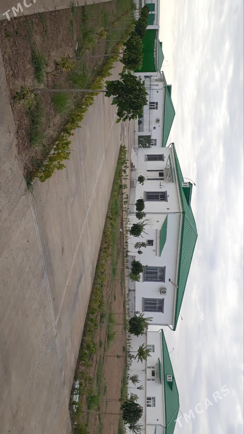 nurly zaman - Aşgabat - img 8