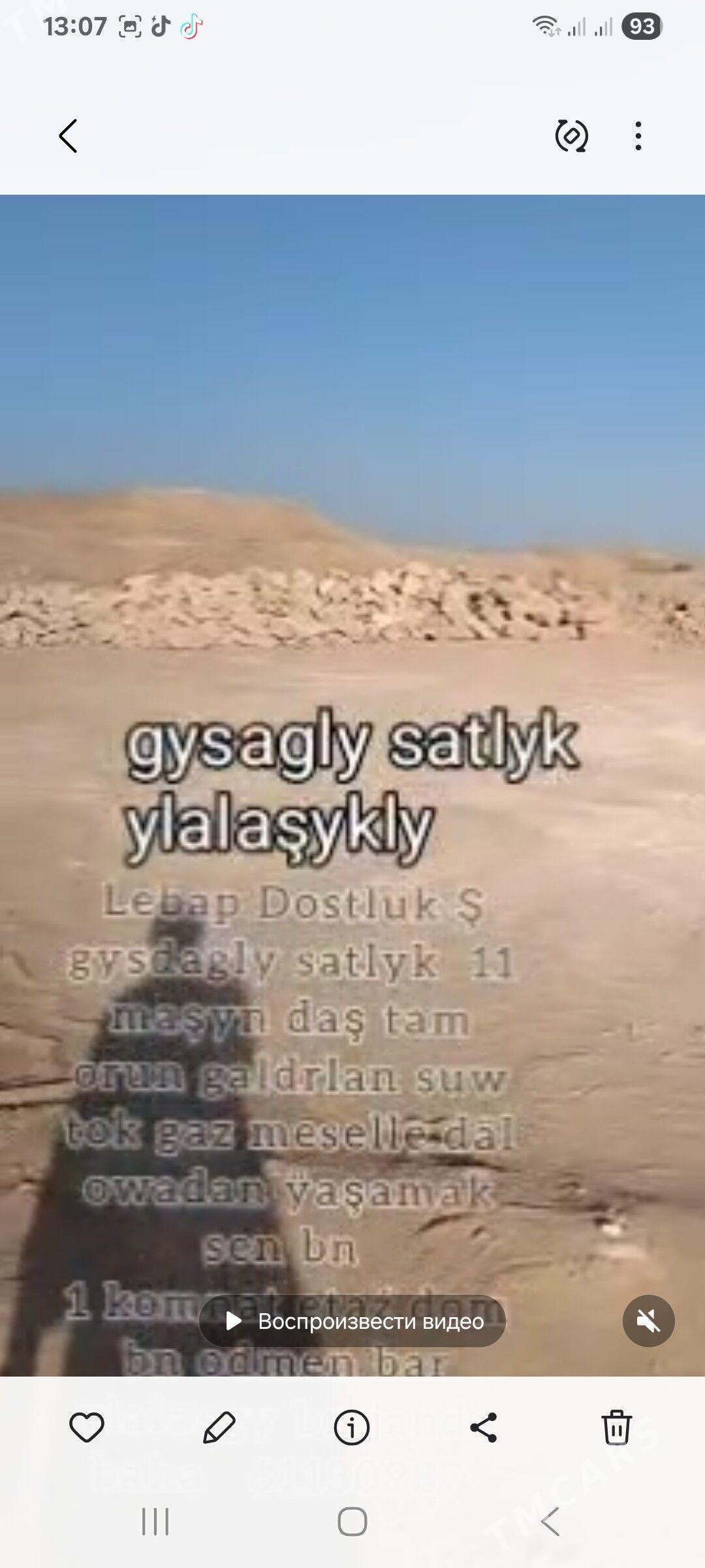 mulik yer - Dostluk - img 2