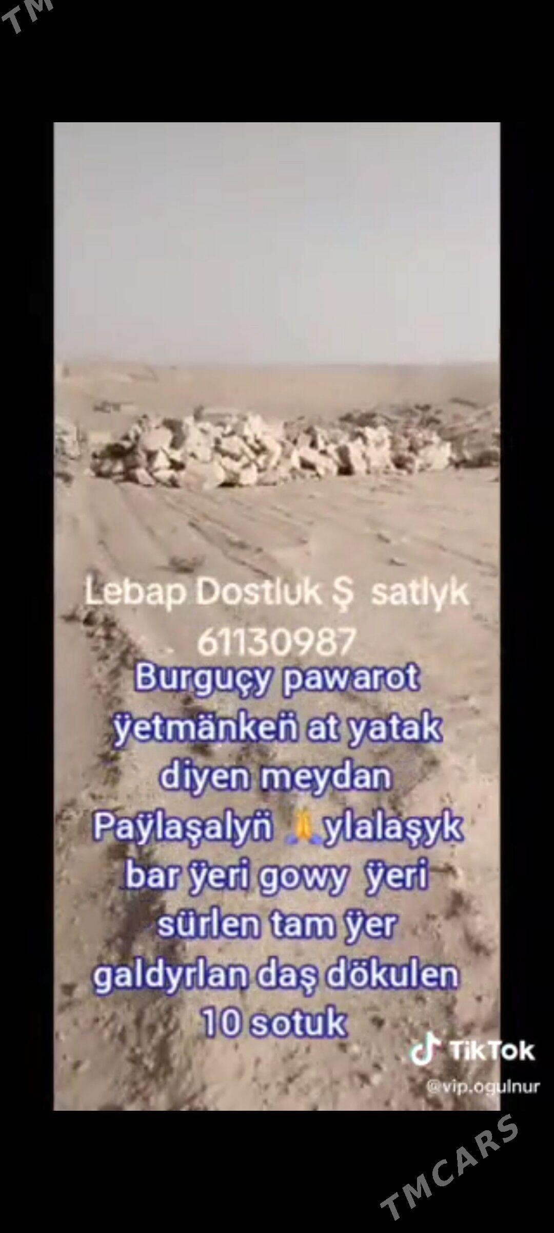 mulik yer - Dostluk - img 3