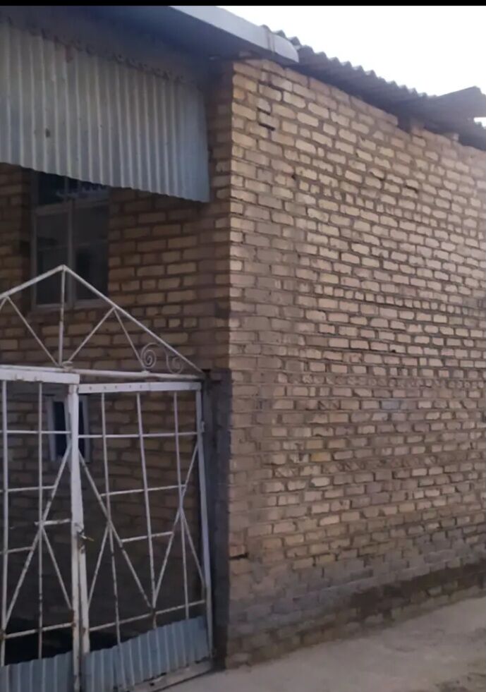 satlyk - Wekilbazar - img 2