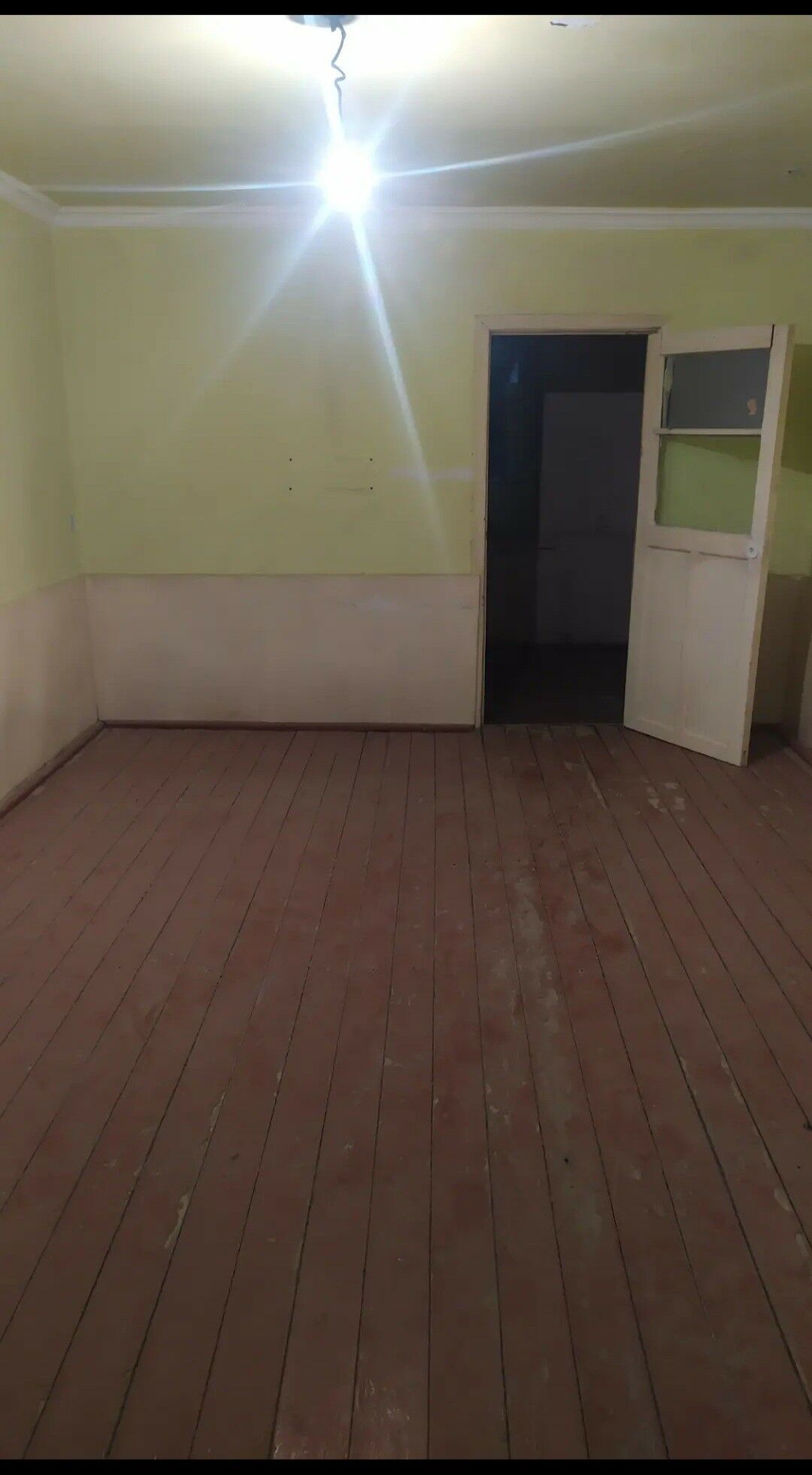 satlyk - Wekilbazar - img 7