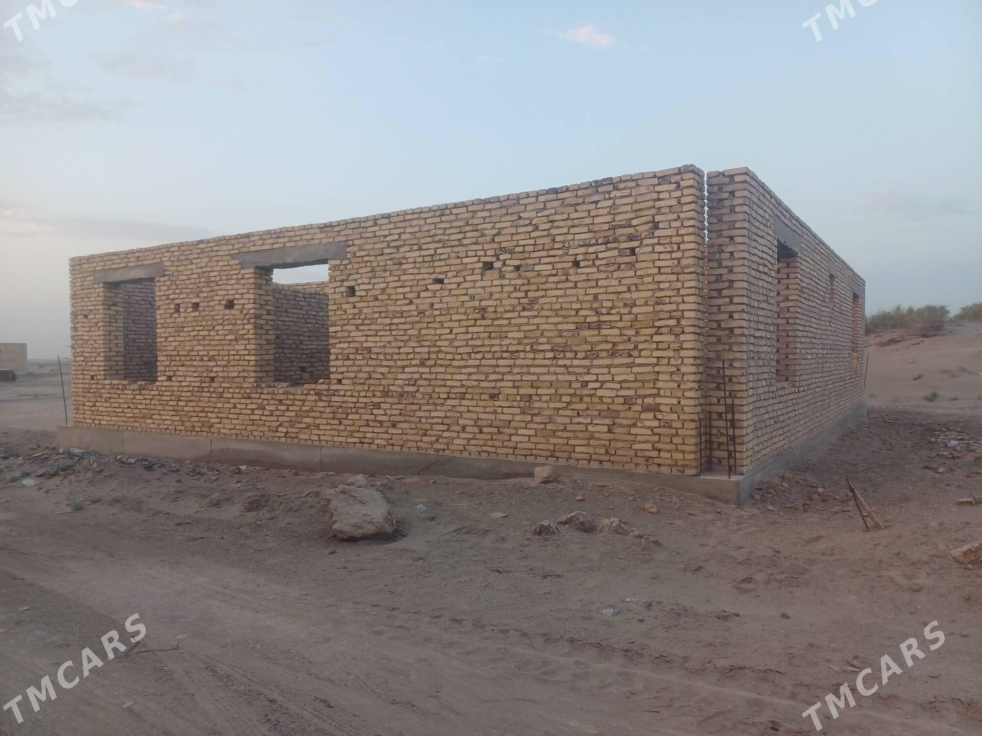 Gulistan doly bitmedik ucaska - Daşoguz - img 4