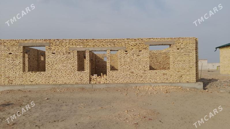 Gulistan doly bitmedik ucaska - Daşoguz - img 3