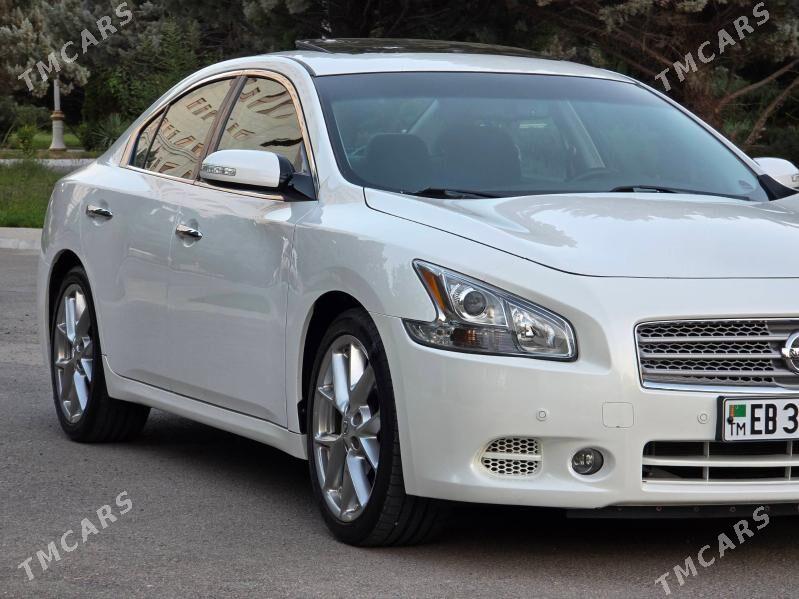 Nissan Maxima 2010 - 175 000 TMT - Ашхабад - img 6