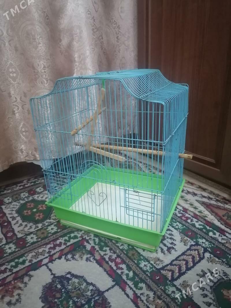 клетка - 9 мкр - img 1