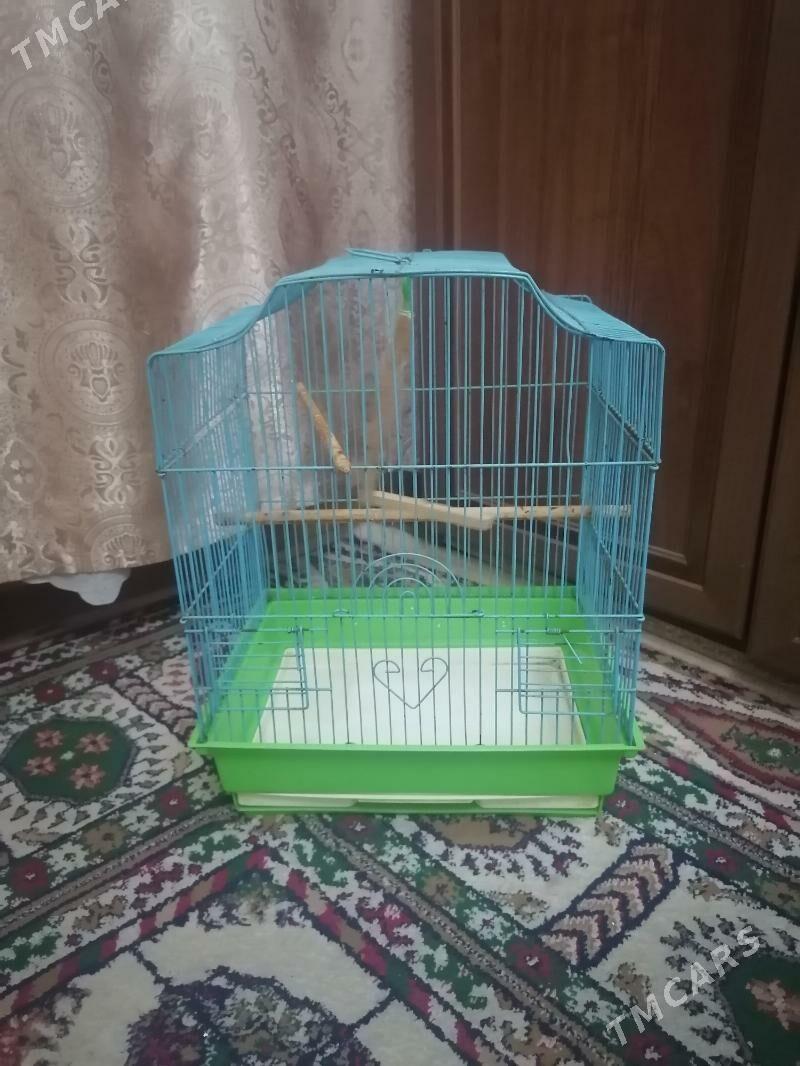 клетка - 9 мкр - img 2