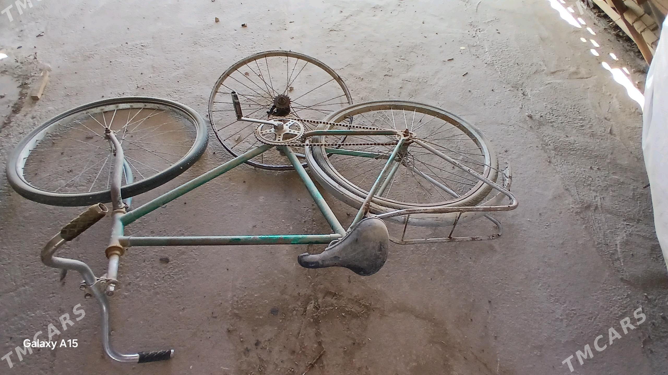 tigir - Гумдаг - img 1