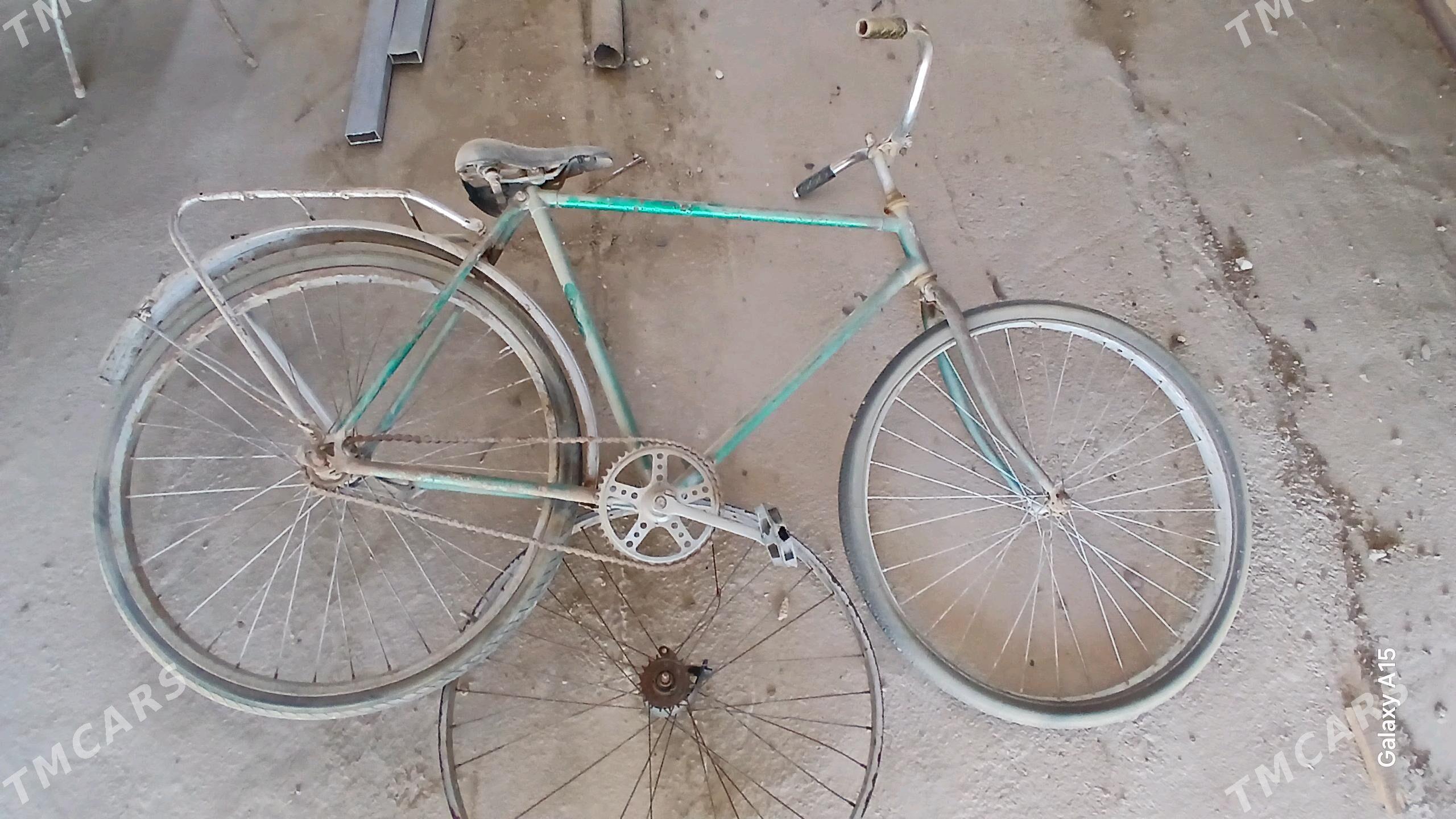 tigir - Гумдаг - img 2