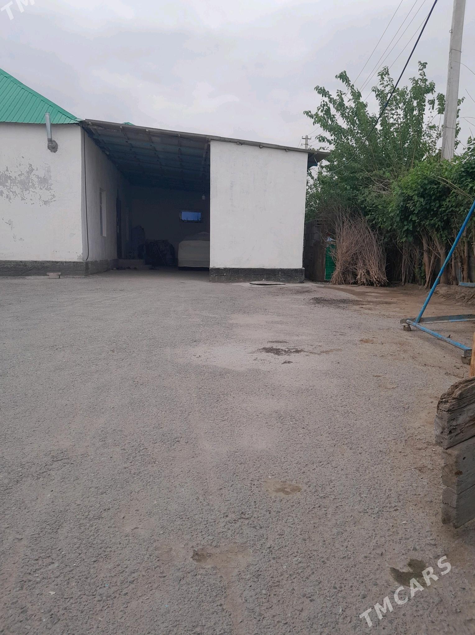 satlykjay - Garadamak Şor - img 2