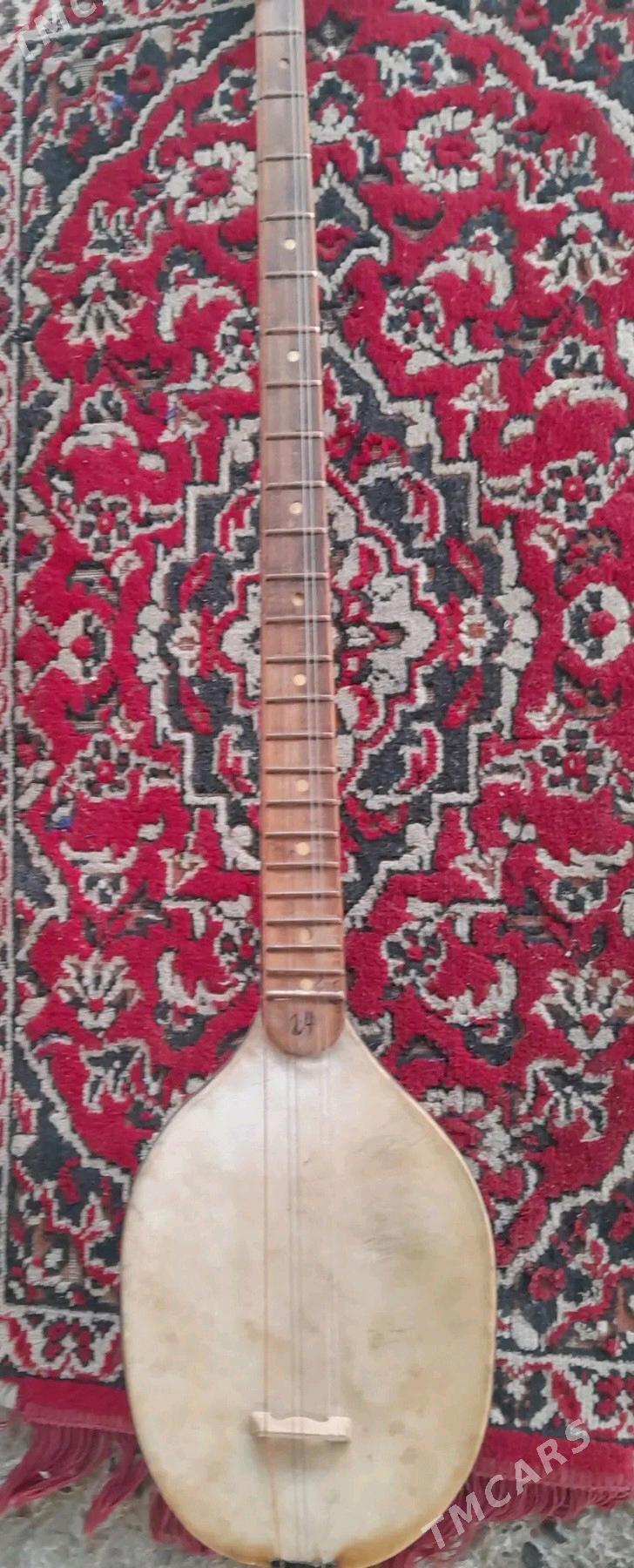 Tar plekra - Ýaşlyk - img 2