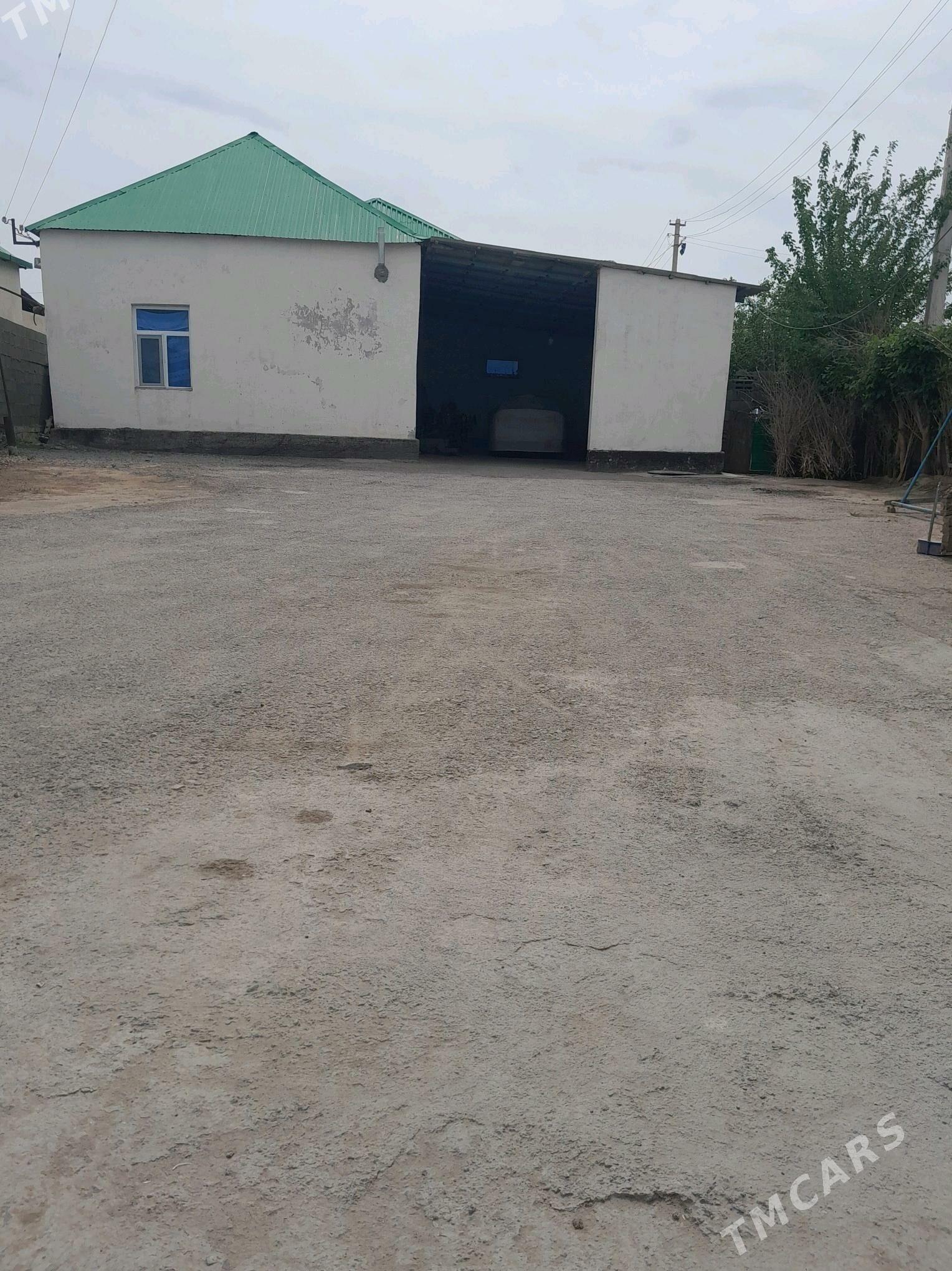 satlykjay - Garadamak Şor - img 3