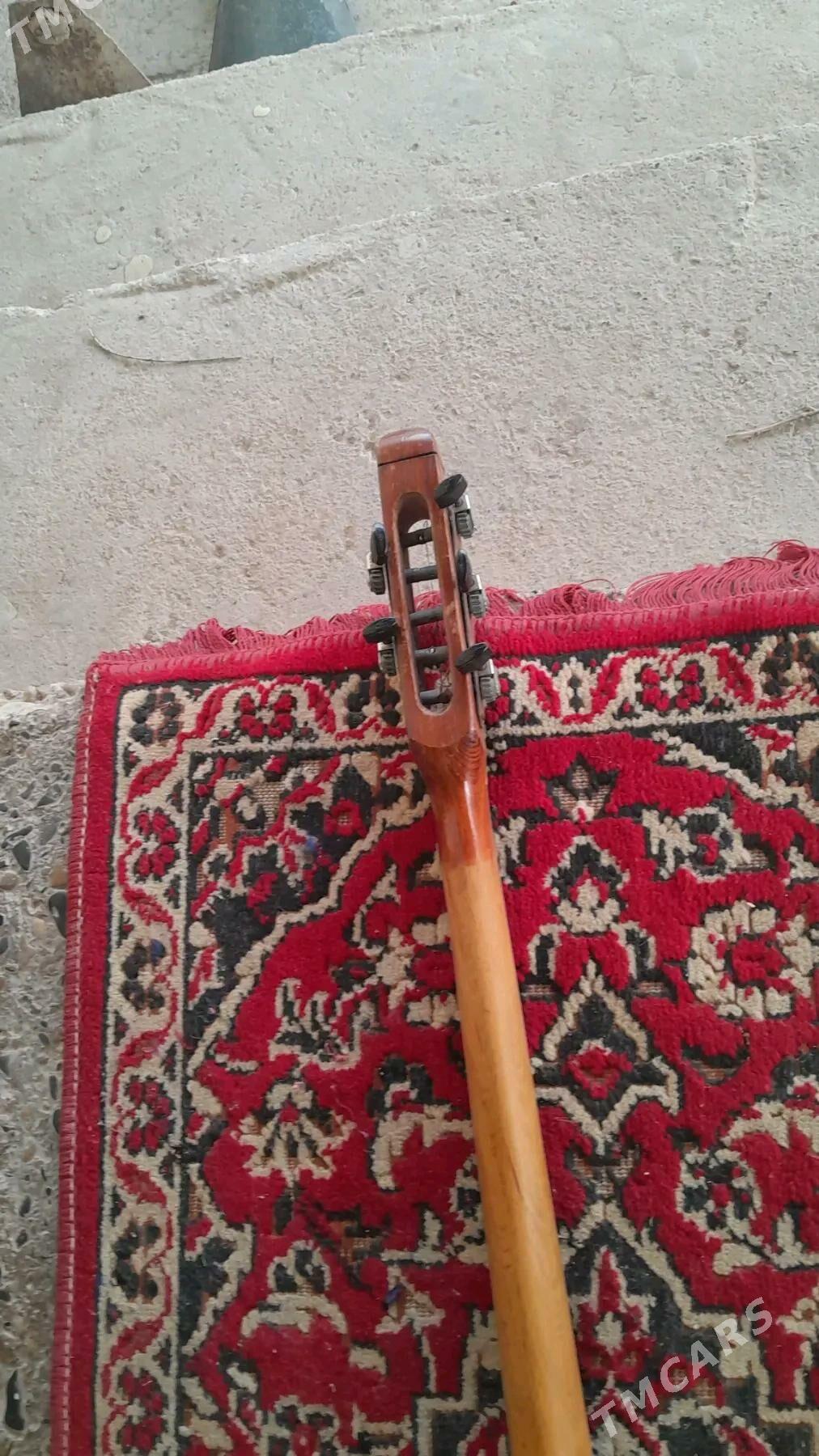 Tar plekra - Ýaşlyk - img 4