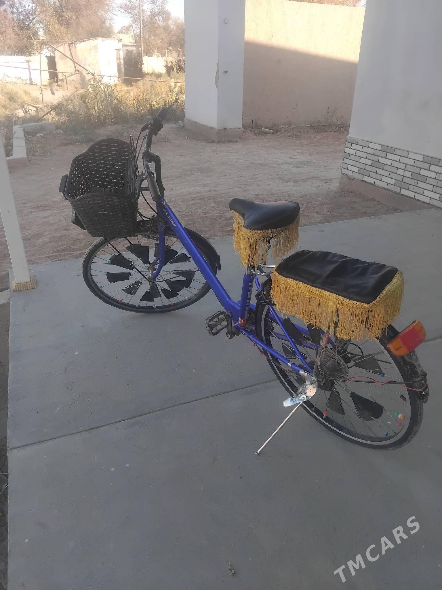 dubayiski 26 - Gurbansoltan Eje - img 1