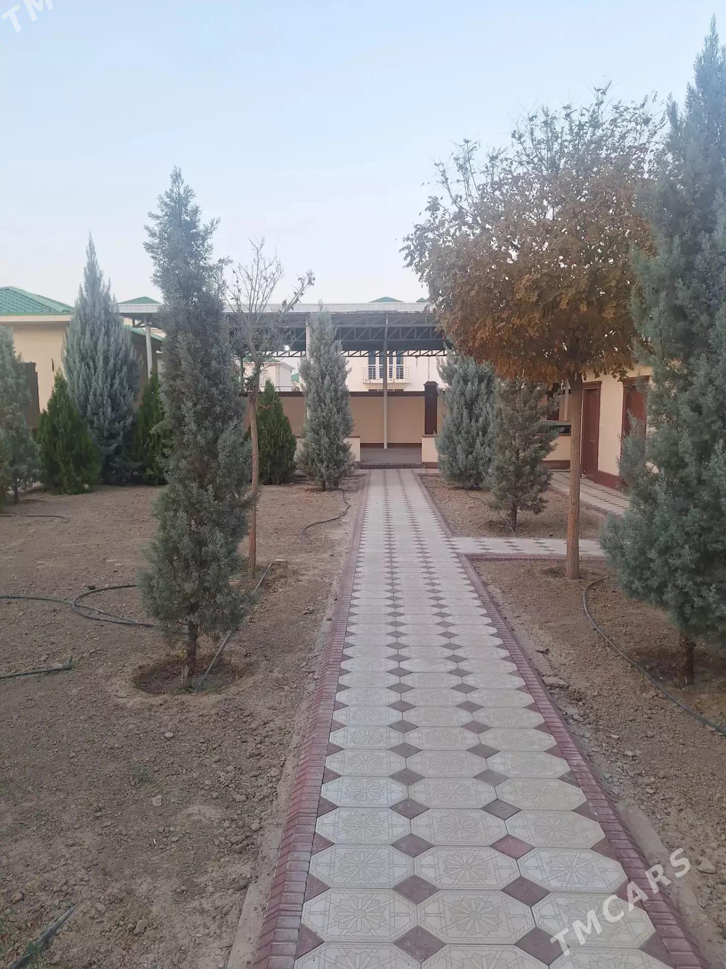 KATTEJ - Gökdepe - img 10