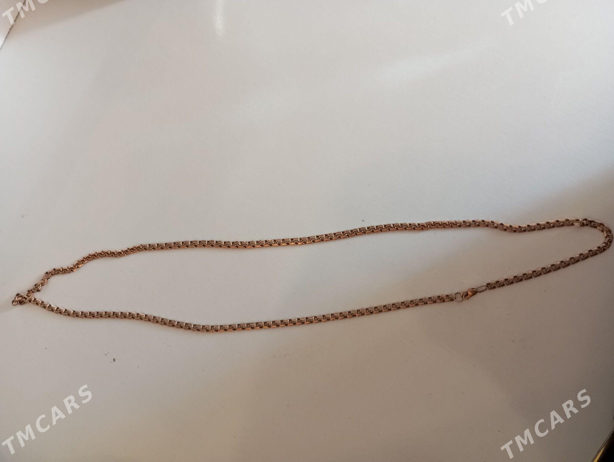 kardinal - Köneürgenç - img 2