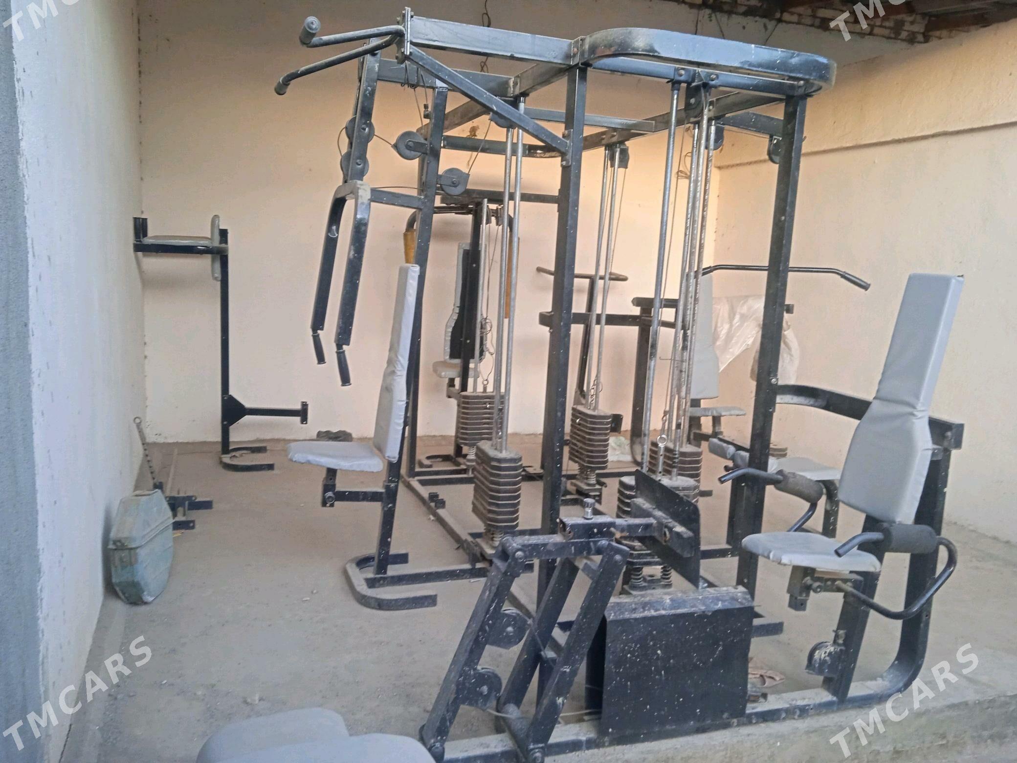 trenajor original - Daşoguz - img 3