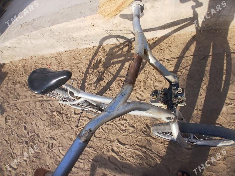 tigir - Кипджак - img 4