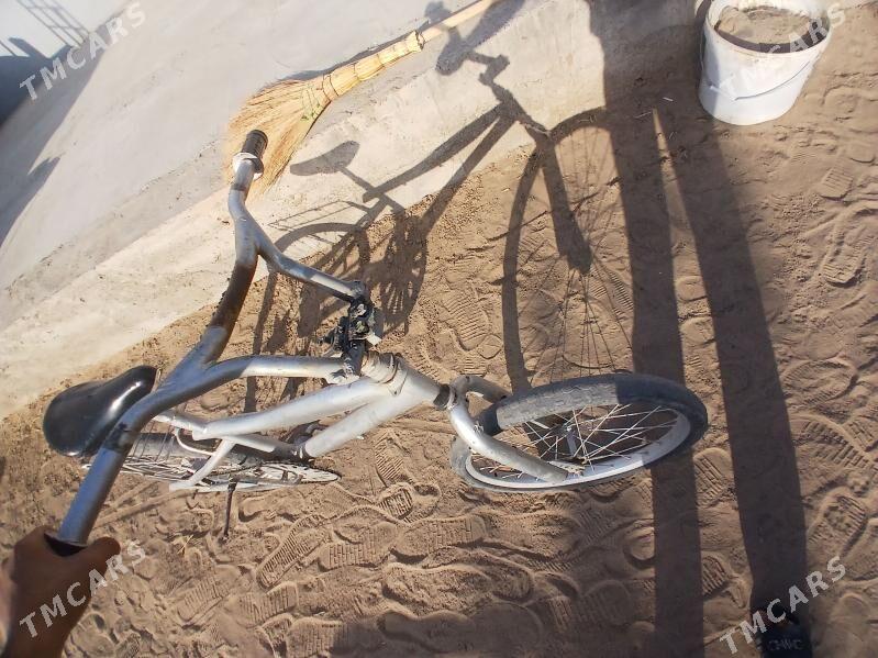 tigir - Кипджак - img 3