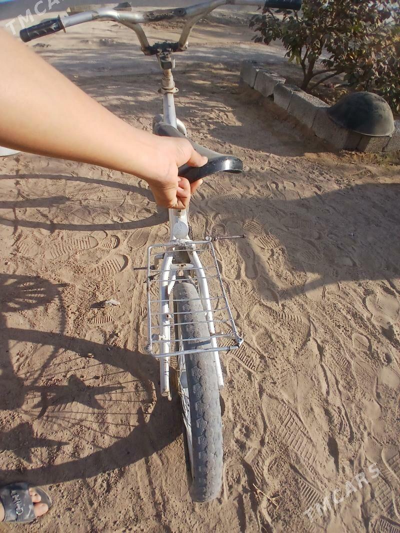 tigir - Кипджак - img 2