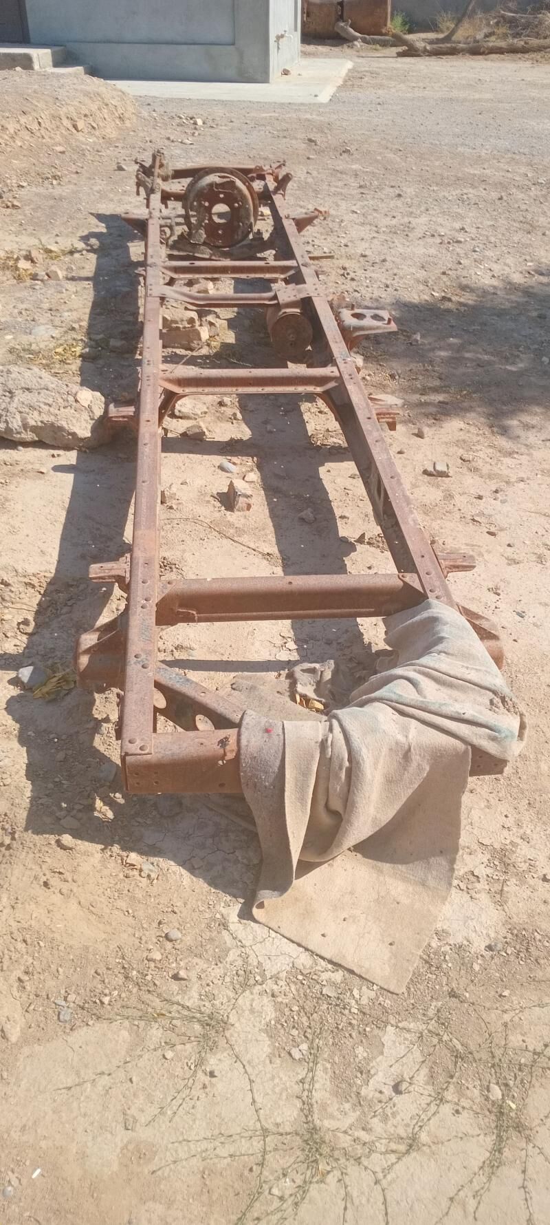 53 Rama donuz kelle 1 200 TMT - Mary - img 3