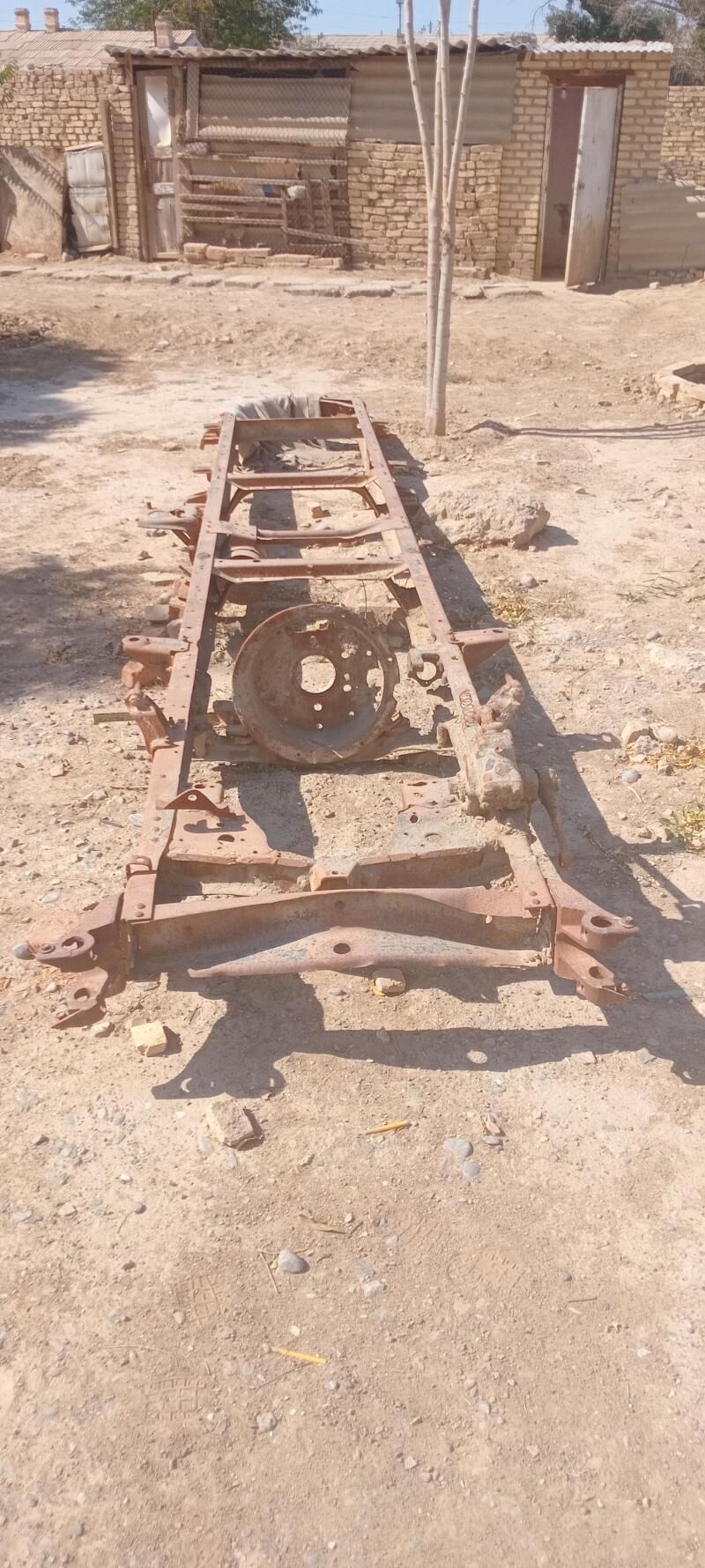 53 Rama donuz kelle 1 200 TMT - Mary - img 2