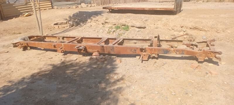 53 Rama donuz kelle 1 200 TMT - Mary - img 1