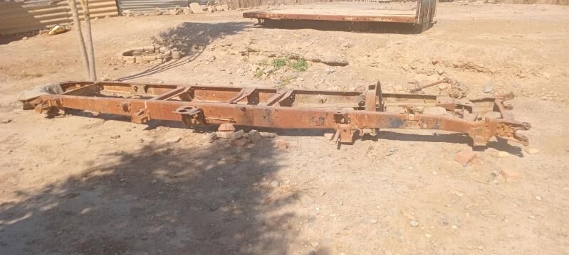 53 Rama donuz kelle 1 200 TMT - Mary - img 4