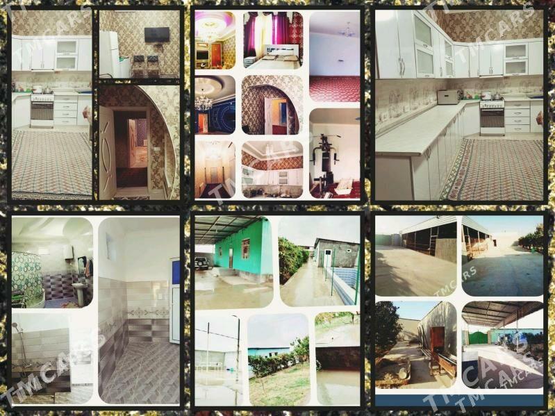 satlyk jay - Кака - img 3