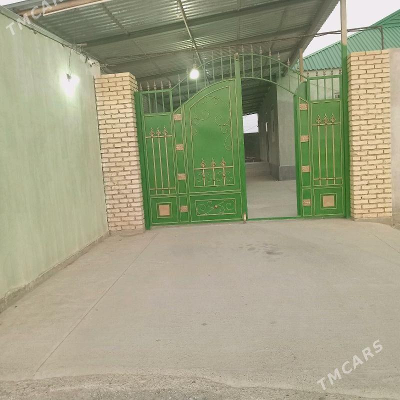 satlyk jay - Кака - img 1