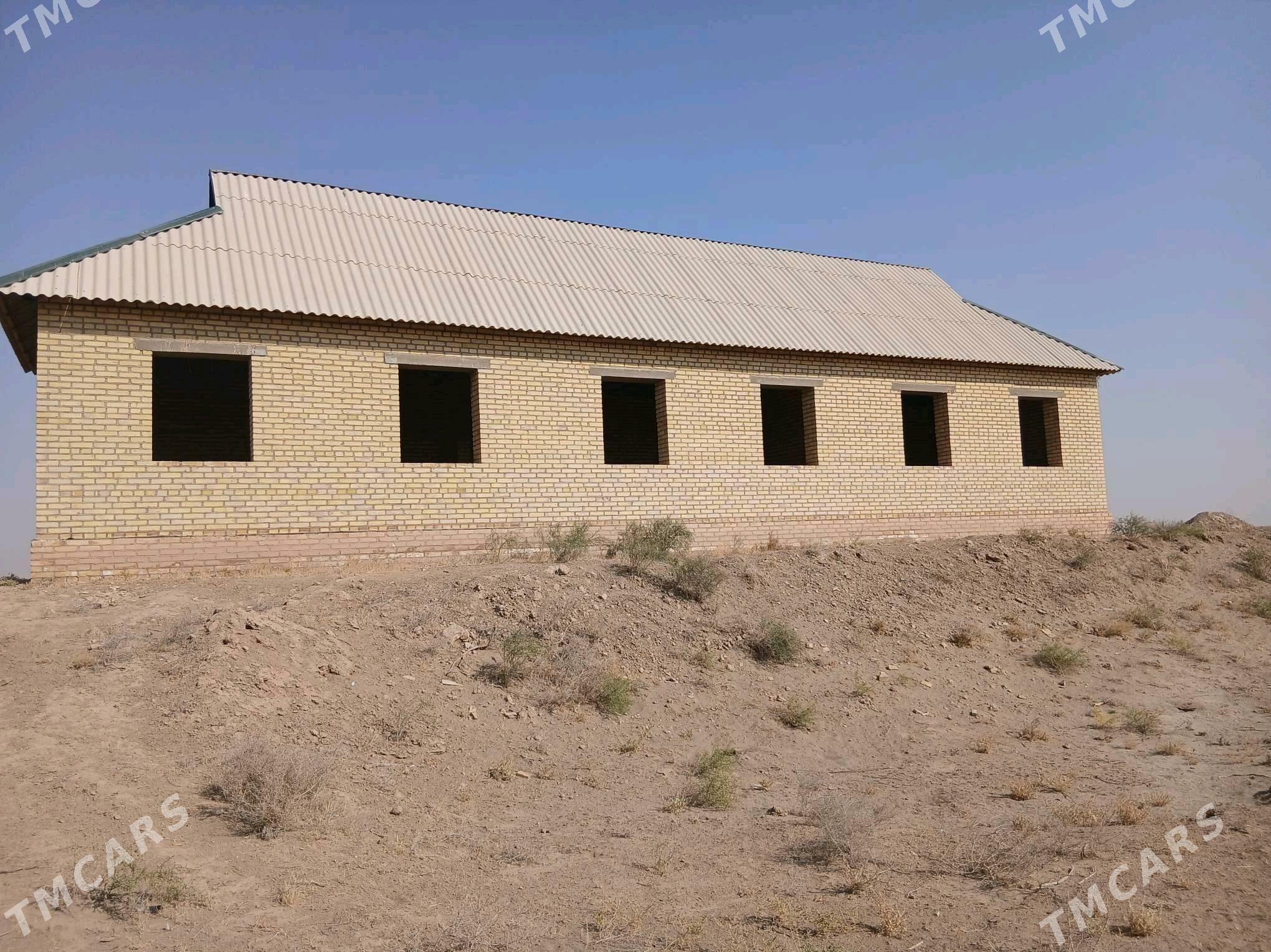 Satlyk Jay - Hojambaz - img 3