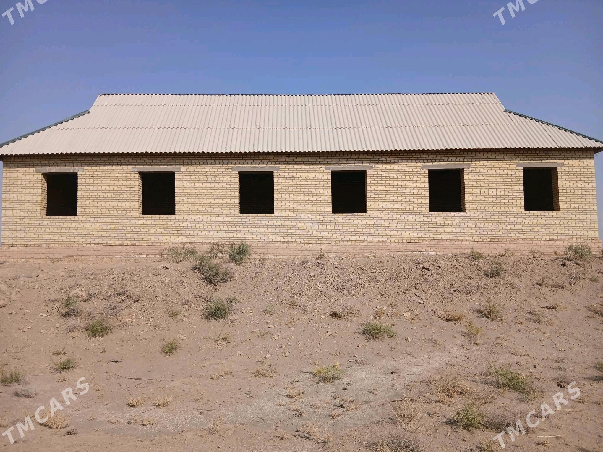 Satlyk Jay - Hojambaz - img 4