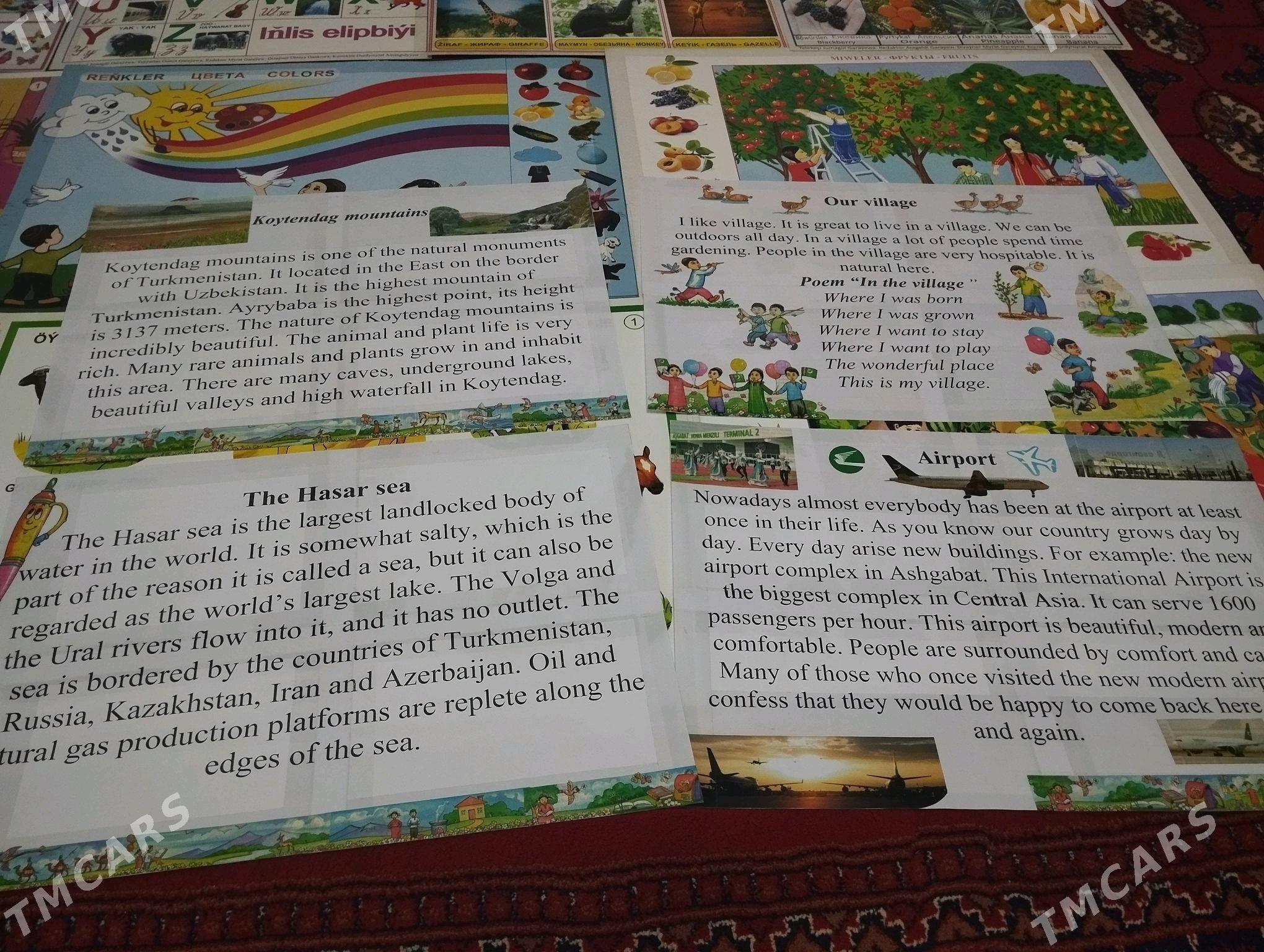 Inlis dili gorkezme esbaplar - Дашогуз - img 4
