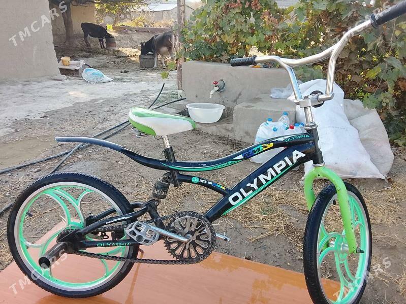 olumipa - Bäherden - img 2