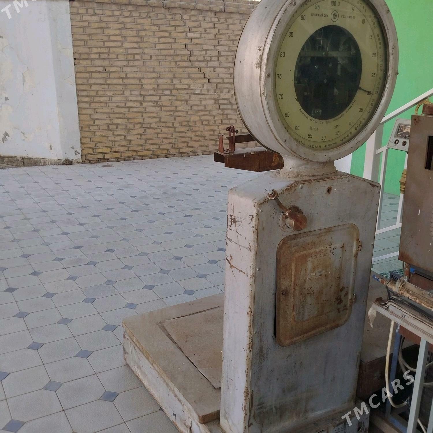 Terezi - Mary - img 2