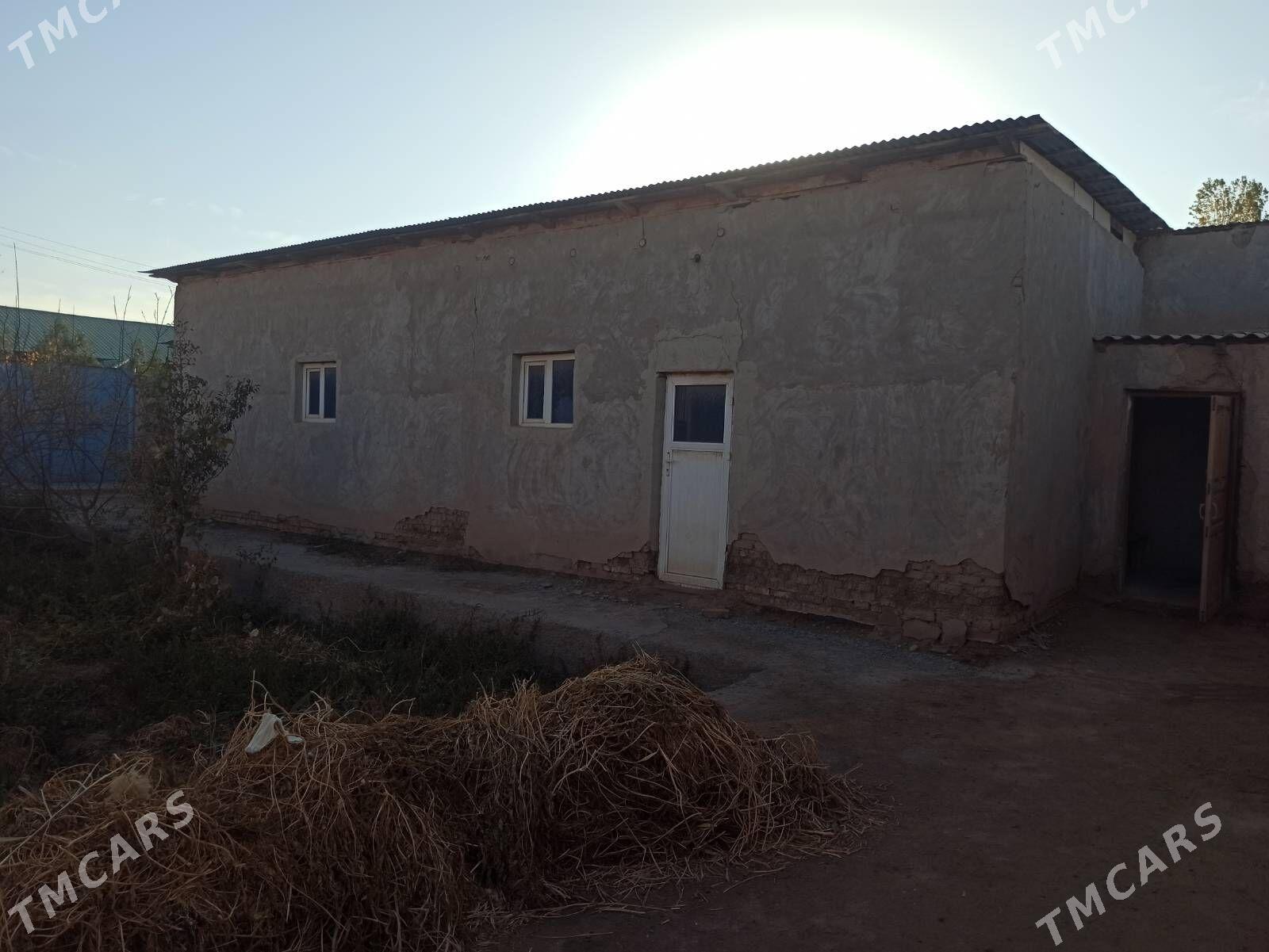 Satlyk jay - етр. Туркменбаши - img 6