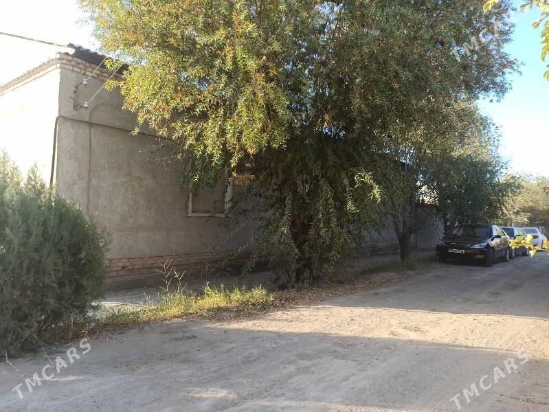 Satlyk jay - етр. Туркменбаши - img 3