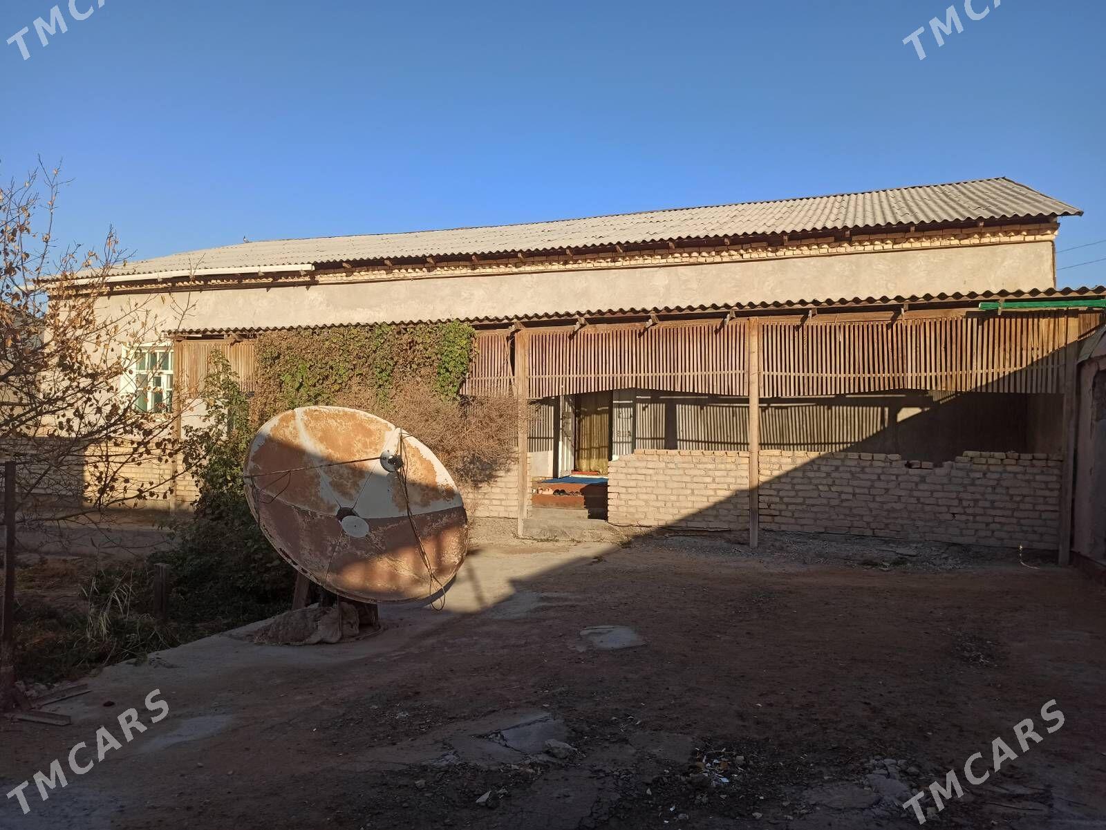 Satlyk jay - етр. Туркменбаши - img 2