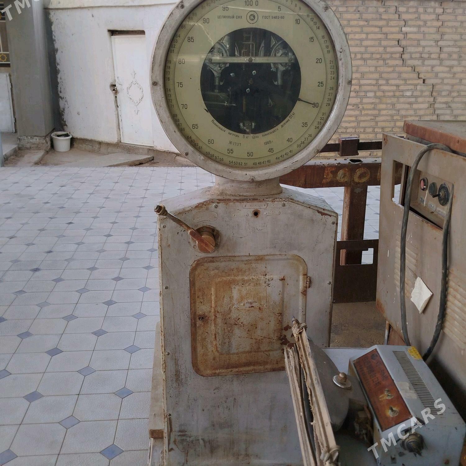 Terezi - Mary - img 1