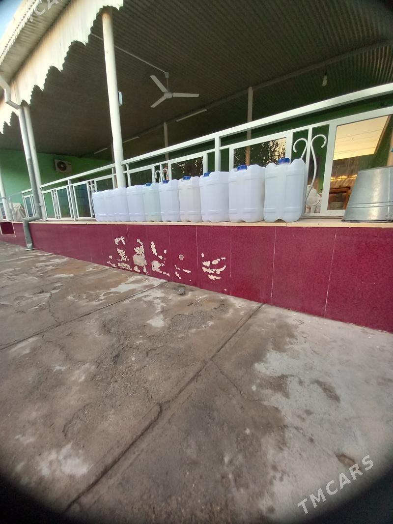 suw bocga - Mary - img 2