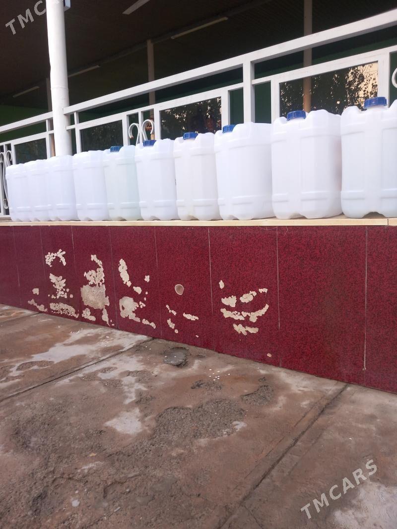 suw bocga - Mary - img 3