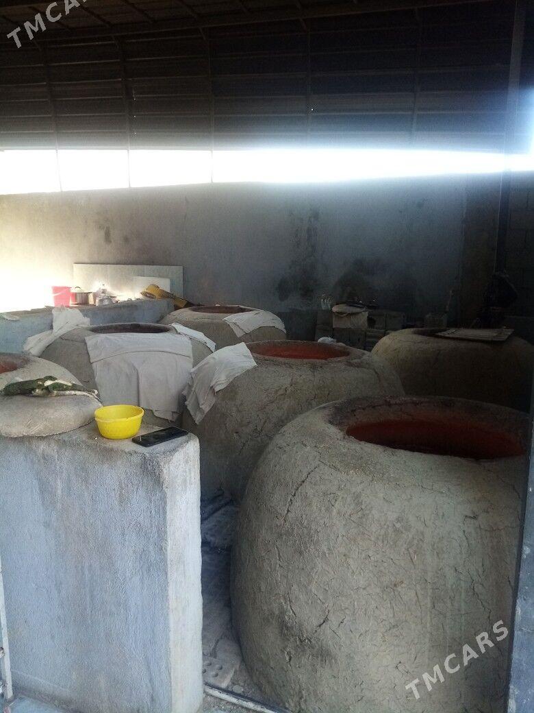 Coganly 230 kw.m 55 - Чоганлы - img 1